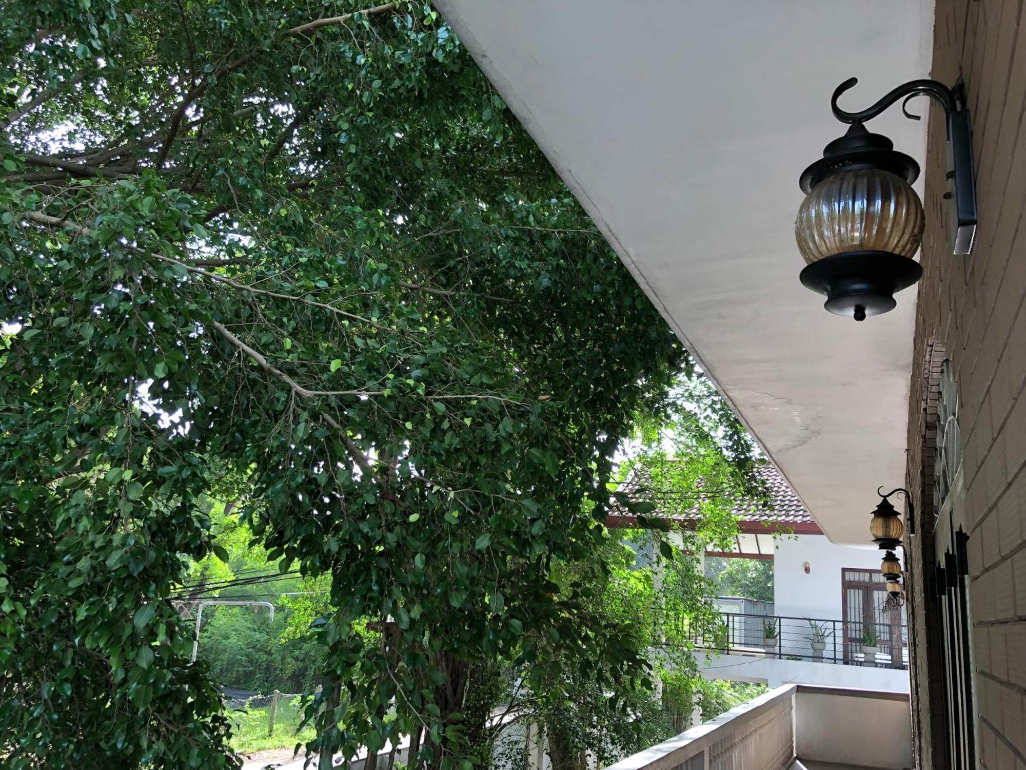 Murphy'S Villa カトゥナカヤ エクステリア 写真