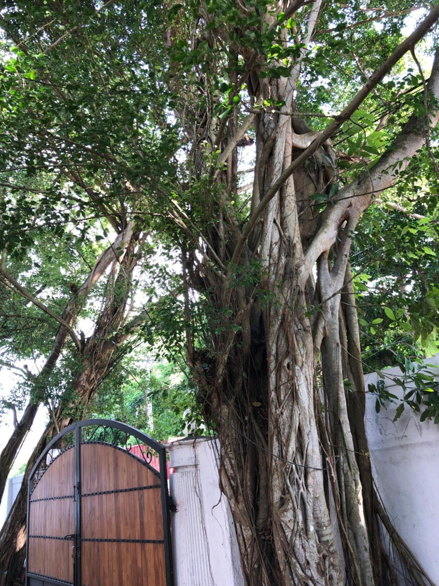Murphy'S Villa カトゥナカヤ エクステリア 写真